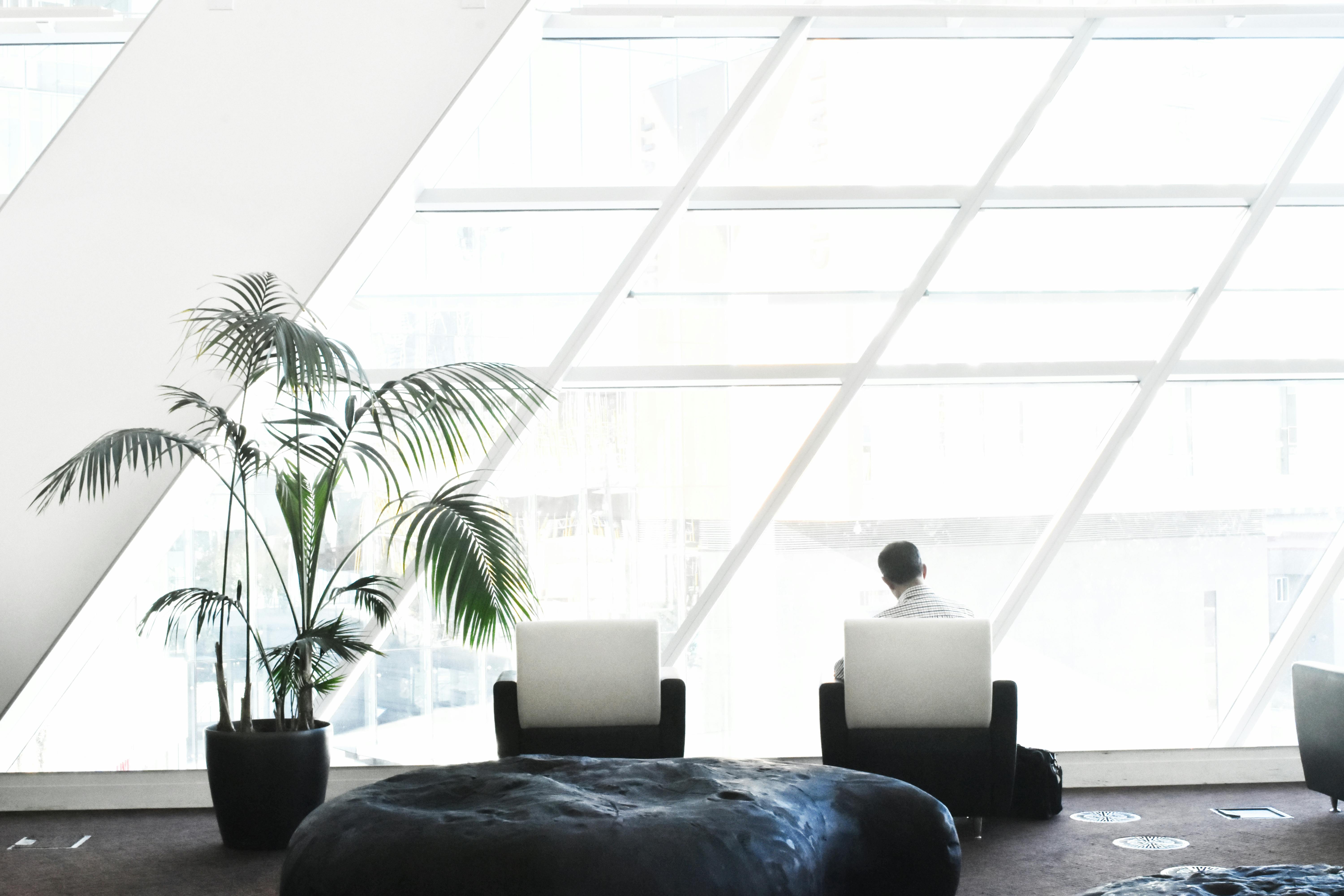 Relaxing zone of an office with comfortable chairs, bean bag and plants